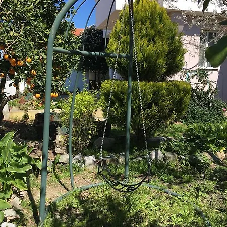 Botanic فيلة *
