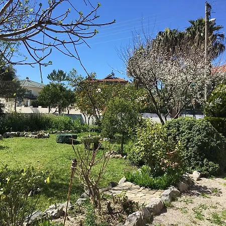 Botanic * داليان