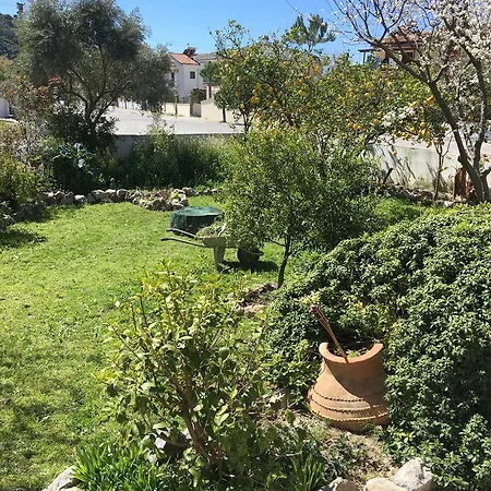 Botanic * داليان