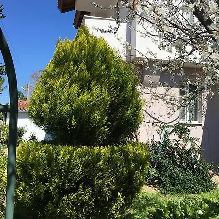 Botanic فيلة داليان