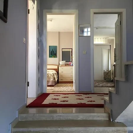 فيلة Botanic داليان